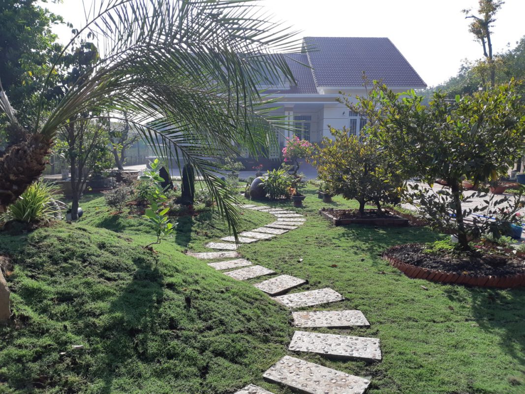 thiết kế biệt thự vườn hiện đại giá rẻ